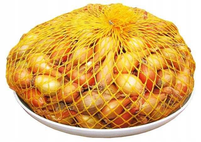 CEBULA DYMKA Senshyu Yellow 500g ZIMOWA