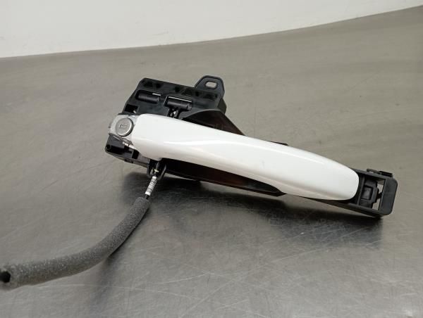 Puxador porta frente esquerda RENAULT Clio V (BF_)