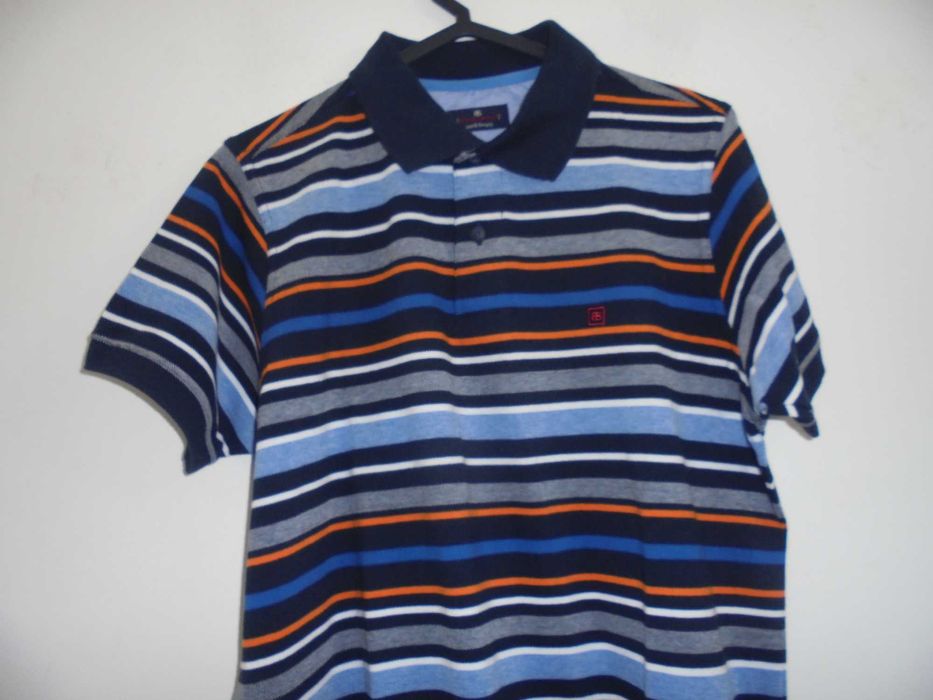 Pólo de homem colorido