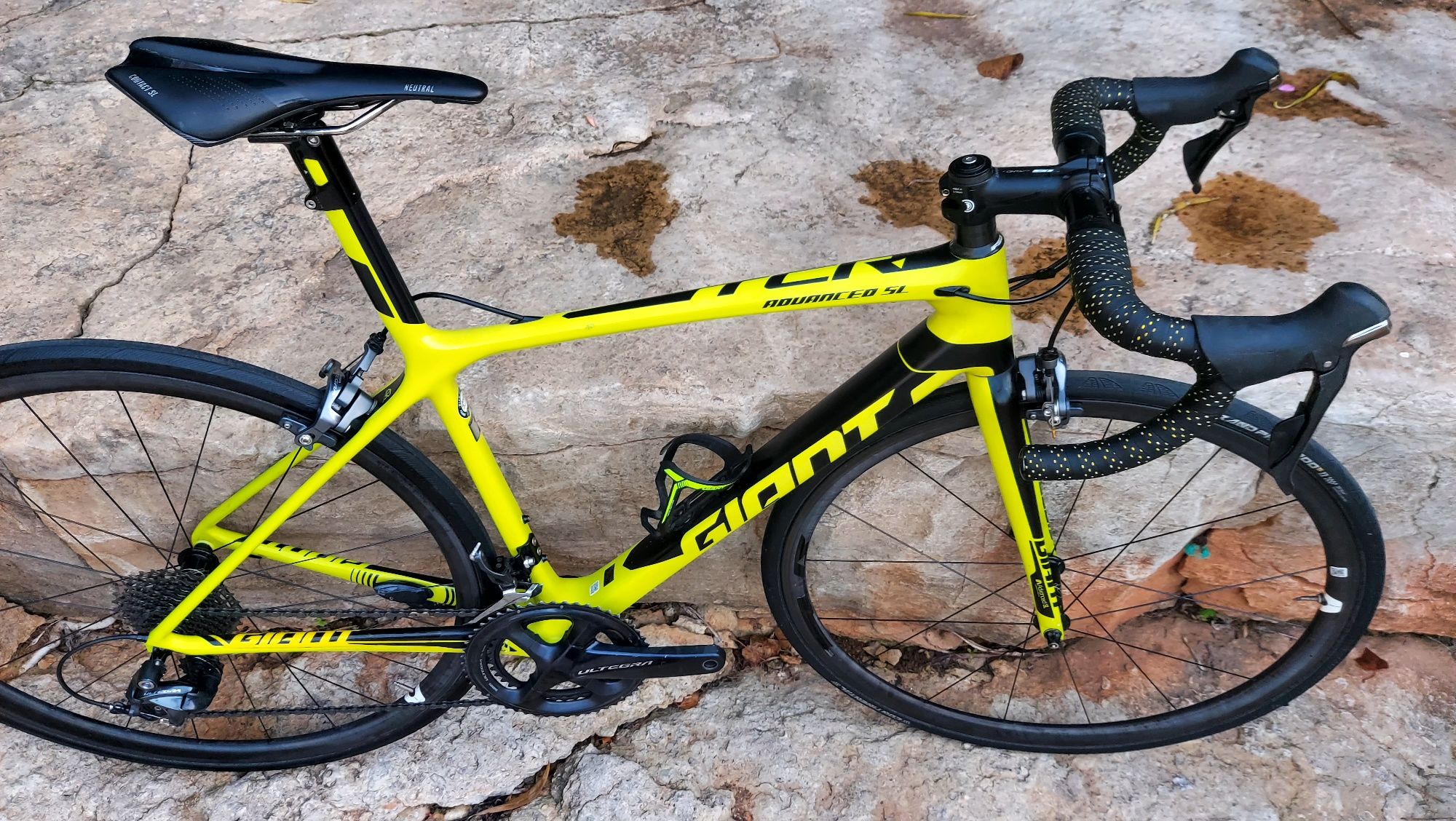 Giant TCR SL t52