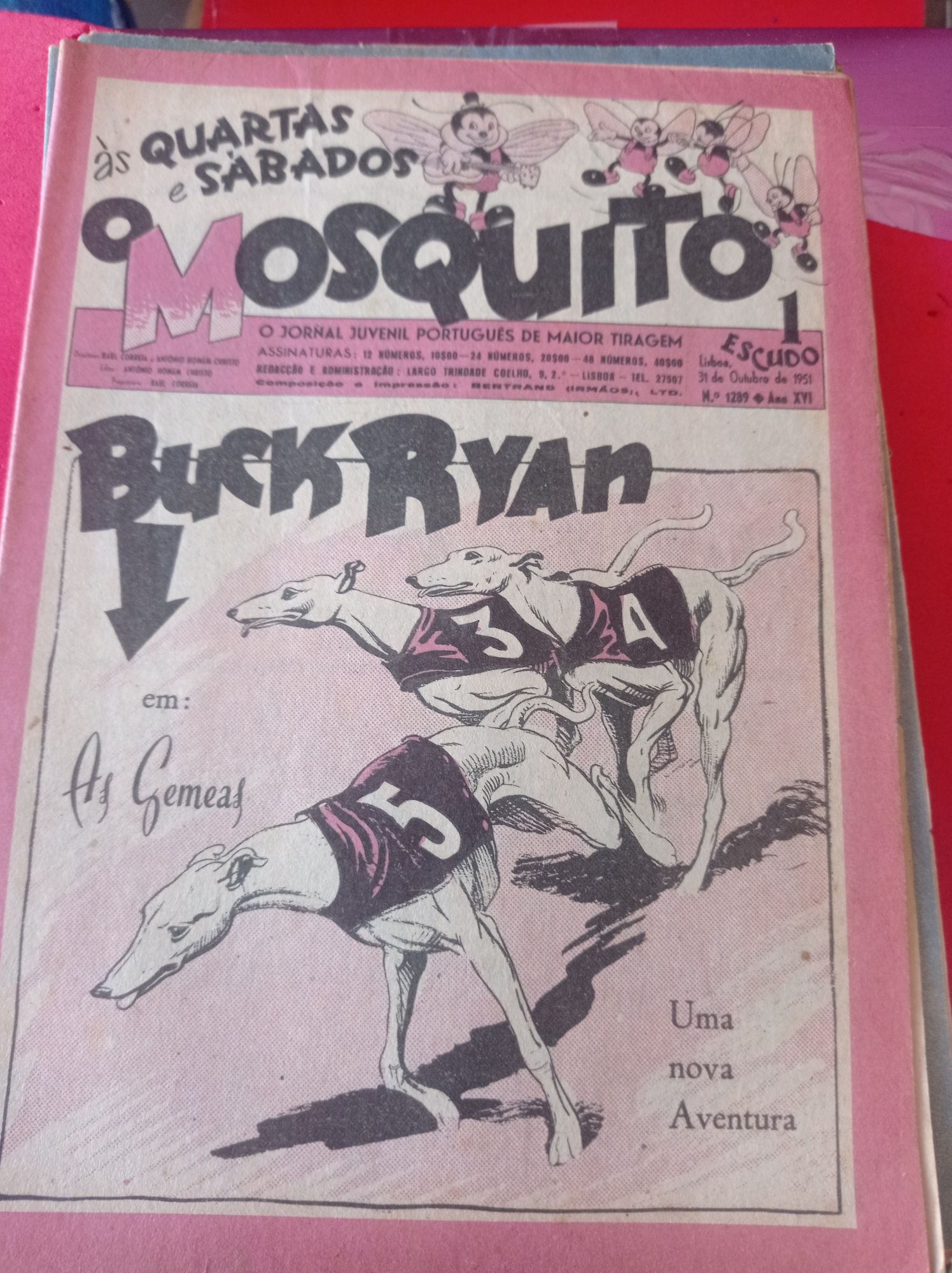 Revista mosquito