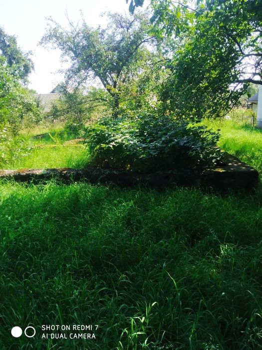 Земельна ділянка Косів