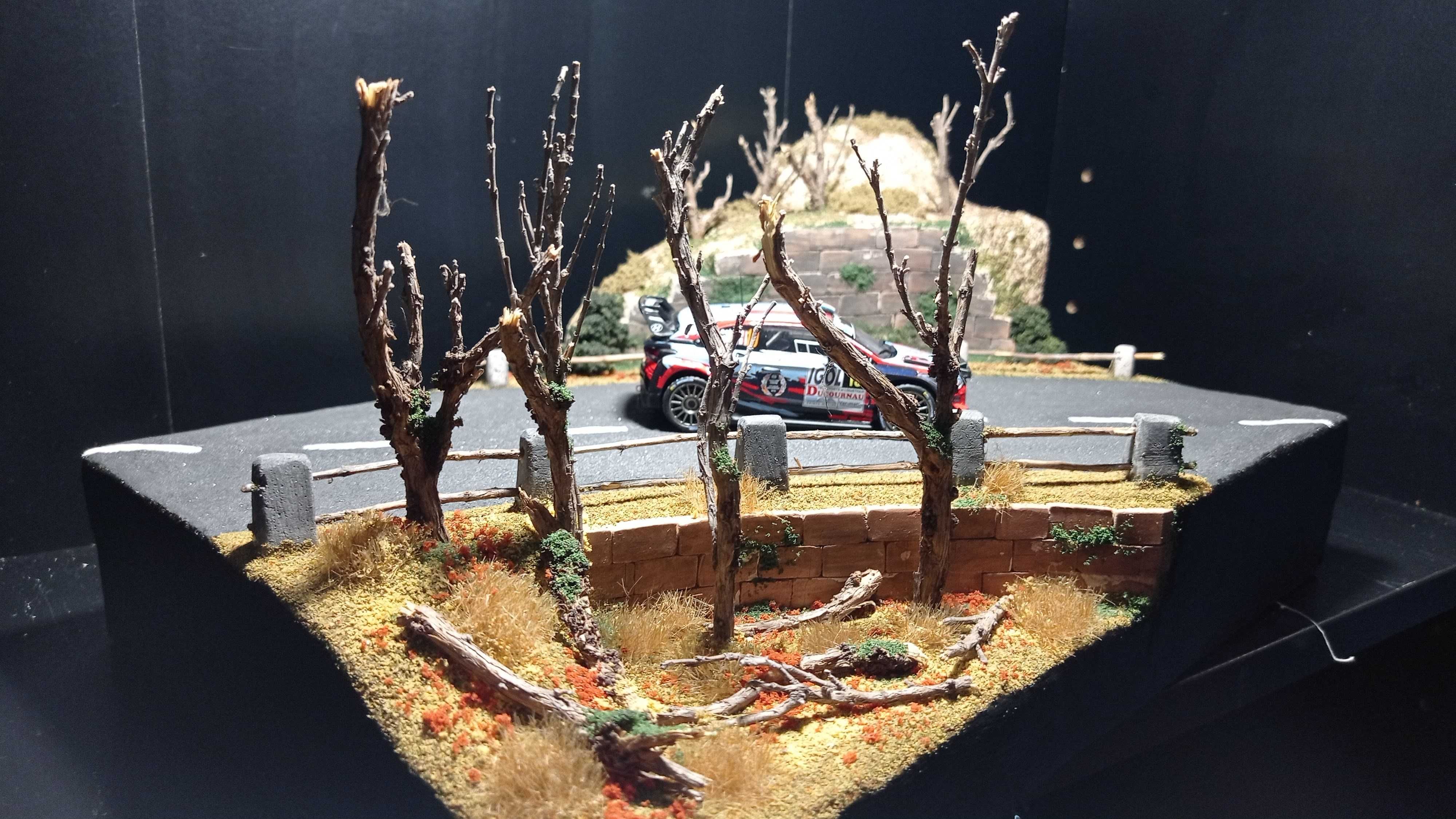 Diorama de Rallye 1/43