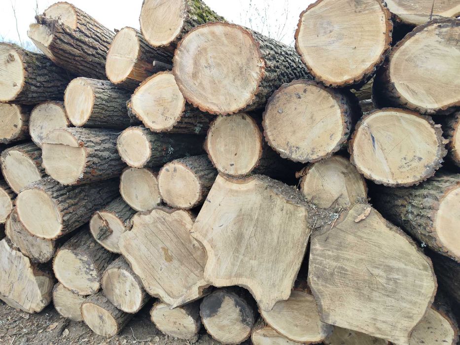 Качественные дрова с документами в Одессе и области, доставка