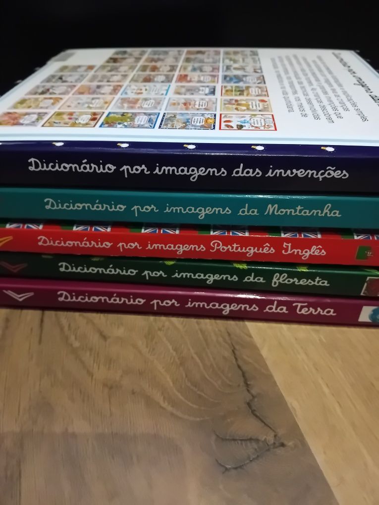 Dicionários por imagens