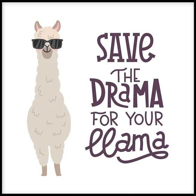 Obraz Deco Box Save the drama 30 x 30 cm