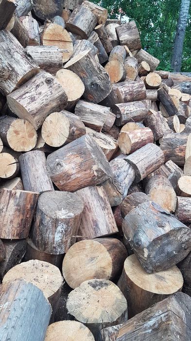 drewno opałowe - sosna/świerk