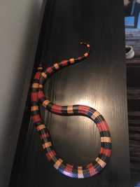 Sprzedam węża zbożowego