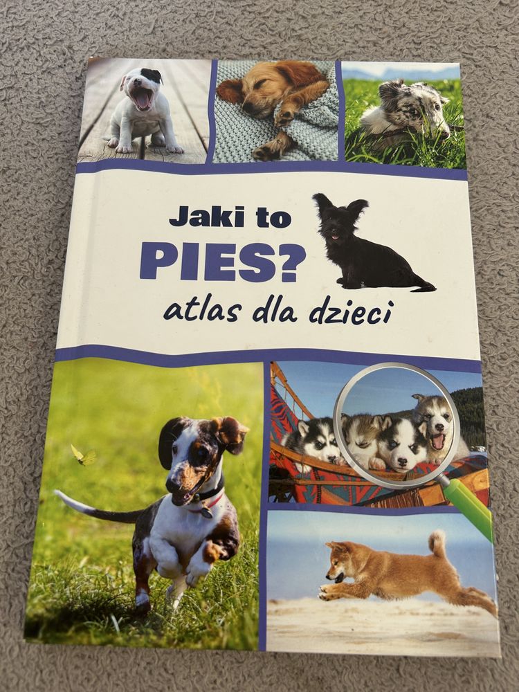 Jaki to pies? Atlas dla dzieci