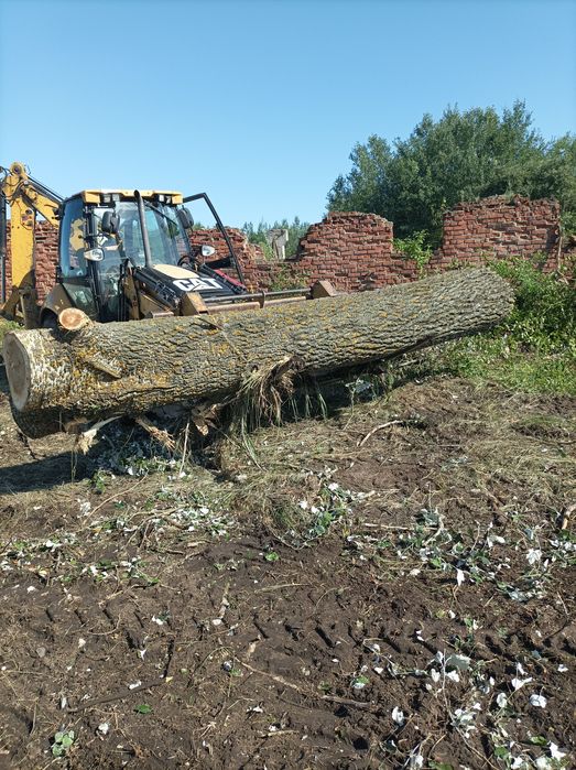 Корчевание деревьев