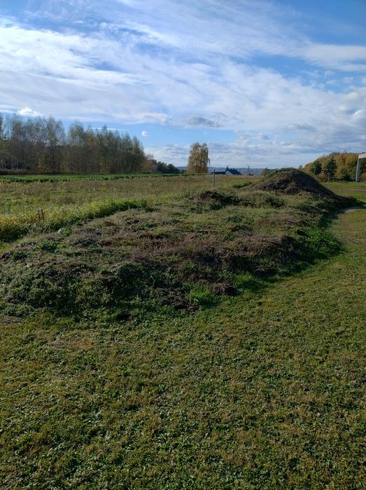 Oddam ziemię za darmo