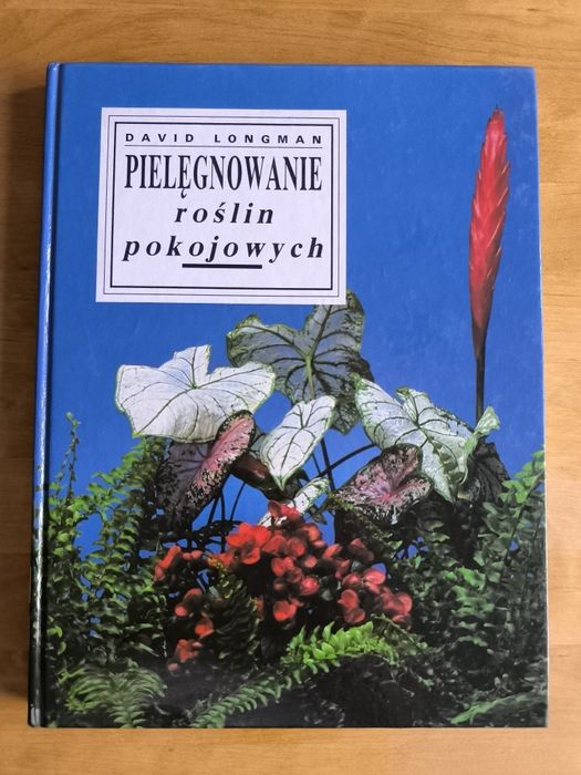 Pielęgniwanie roślin pokojowych