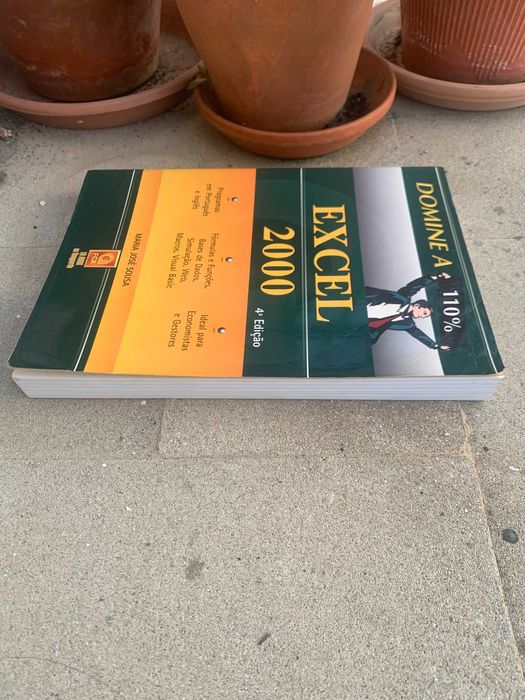 Domine a 110% Excel 2000