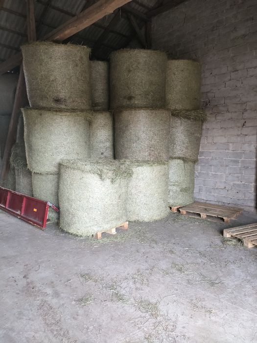 Sprzedam siano ładne