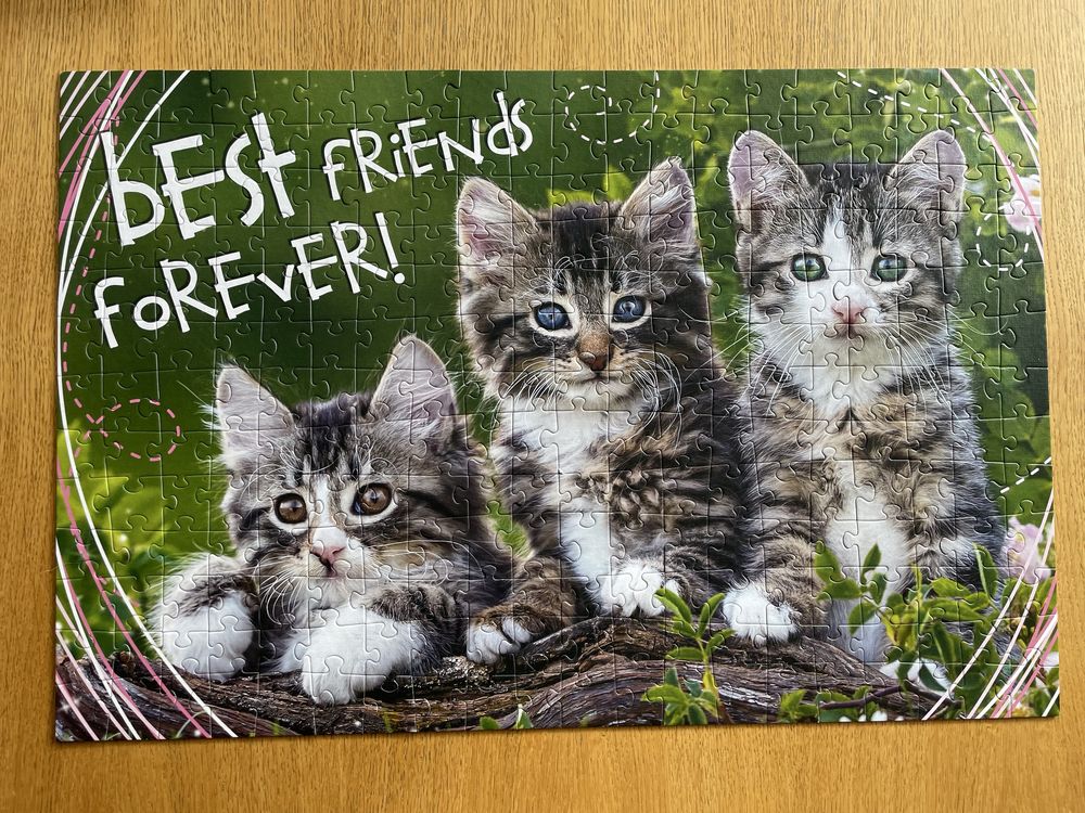 Puzzle Trefl koty 260 +8