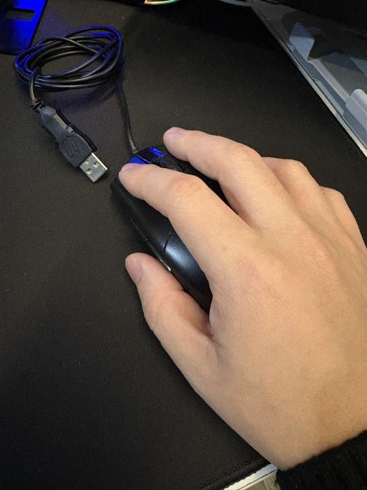 Mouse HP USB-A big size