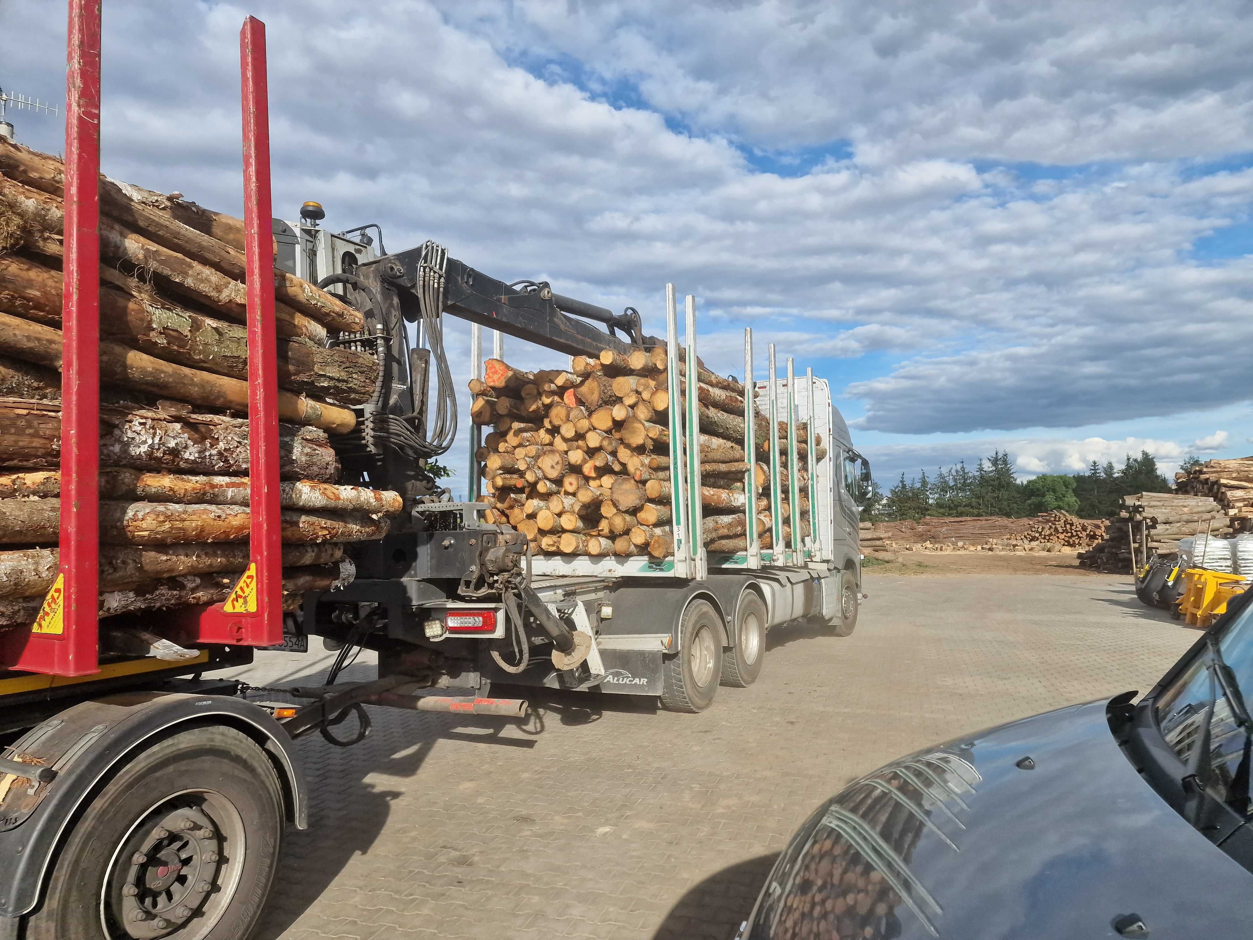 DrewKom drewno kominkowe BRZOZA kłoda dl. 2,5m S2a S2b transport HDS