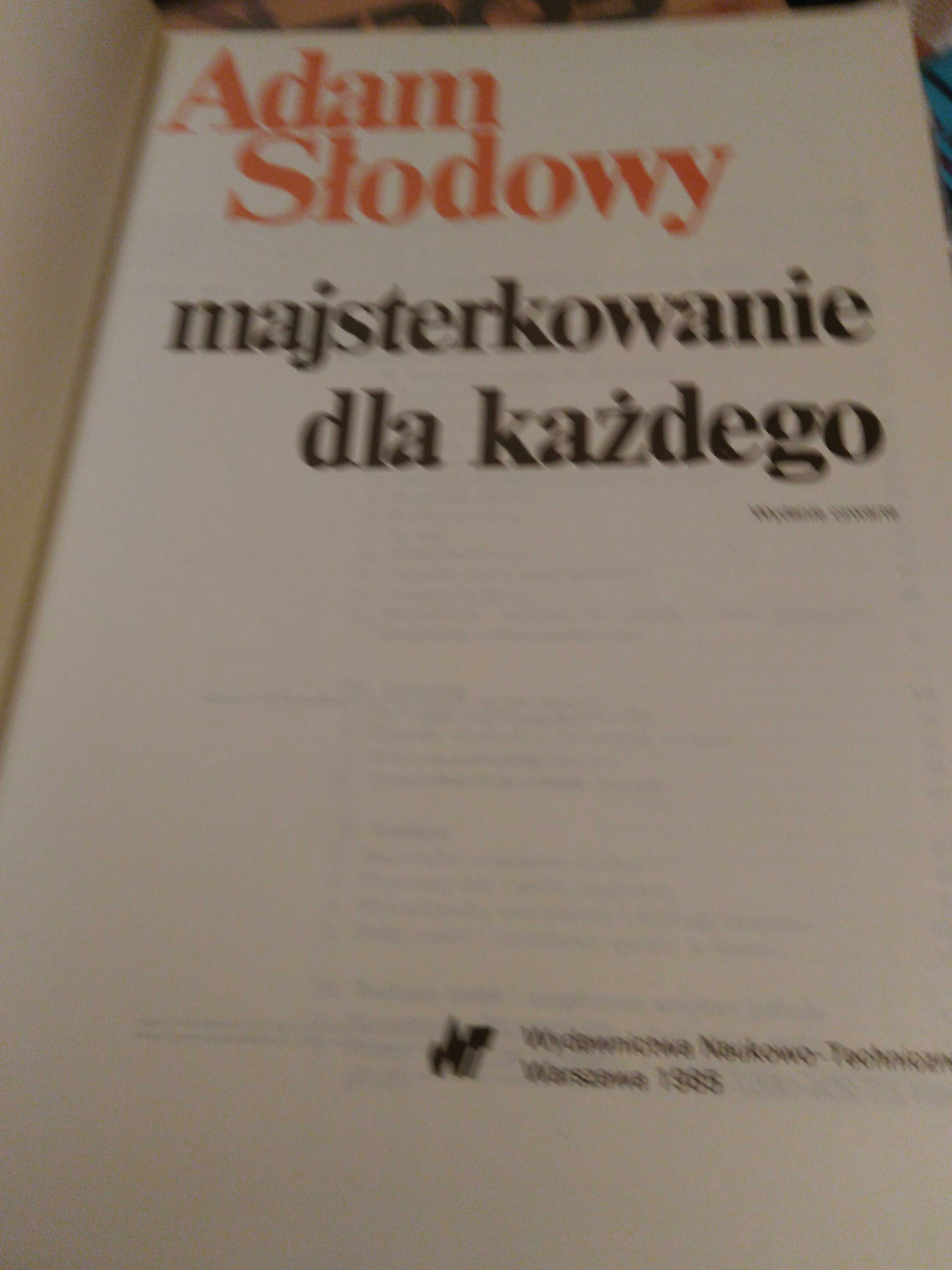 Majsterkowanie dla każdego Adam Słodowy