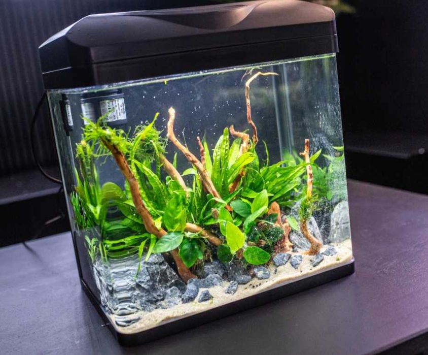 Akwarium Standardowe INVITAL EasyTank PRO LED 30L Czarny - WYPRZEDAŻ