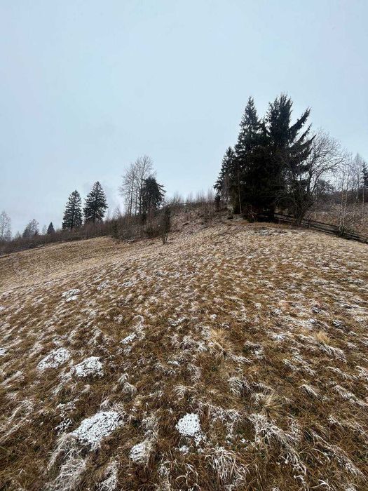 Ділянка з неперевершеним краєвидом на Ворохту!