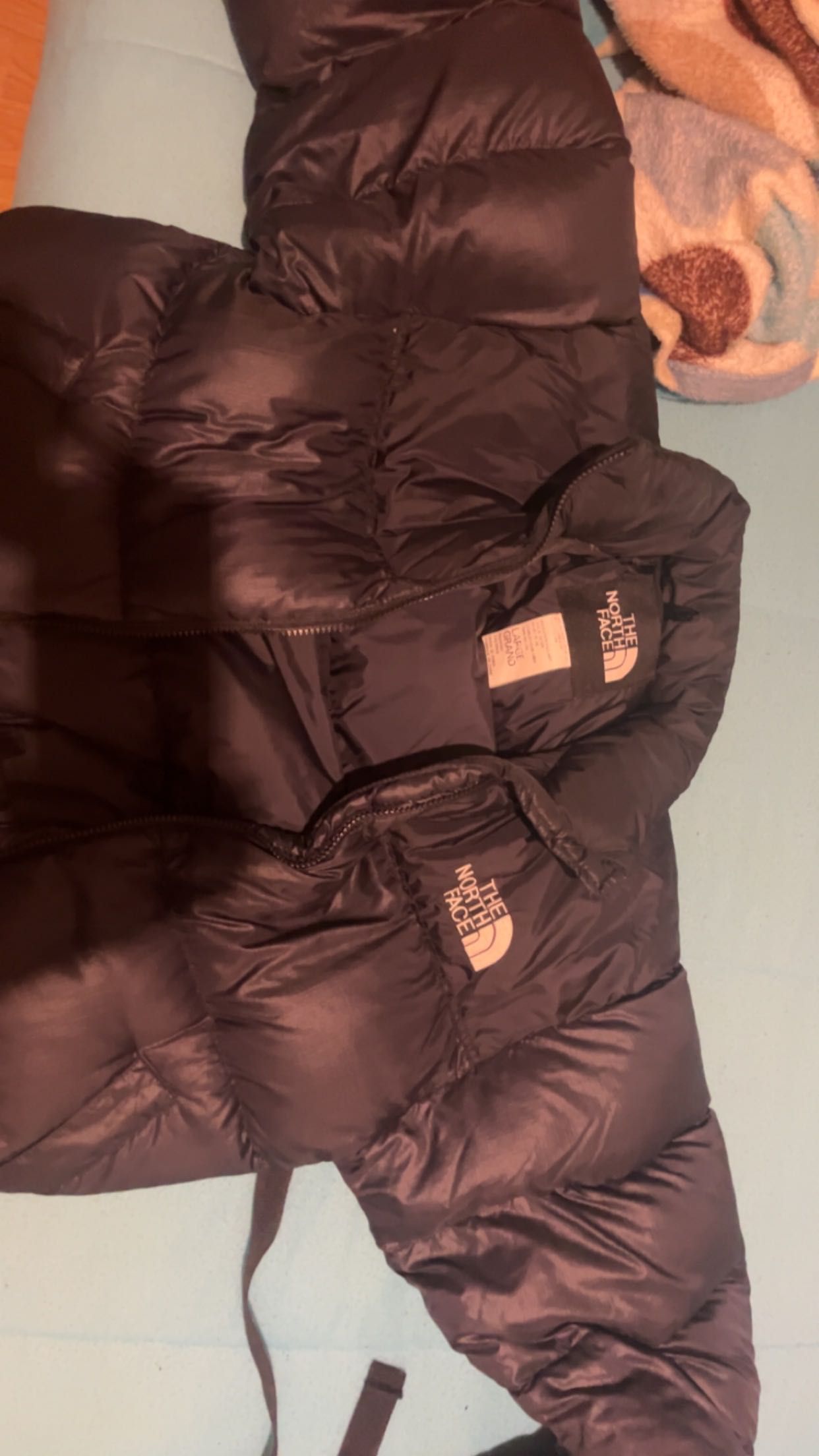 Casaco the North face