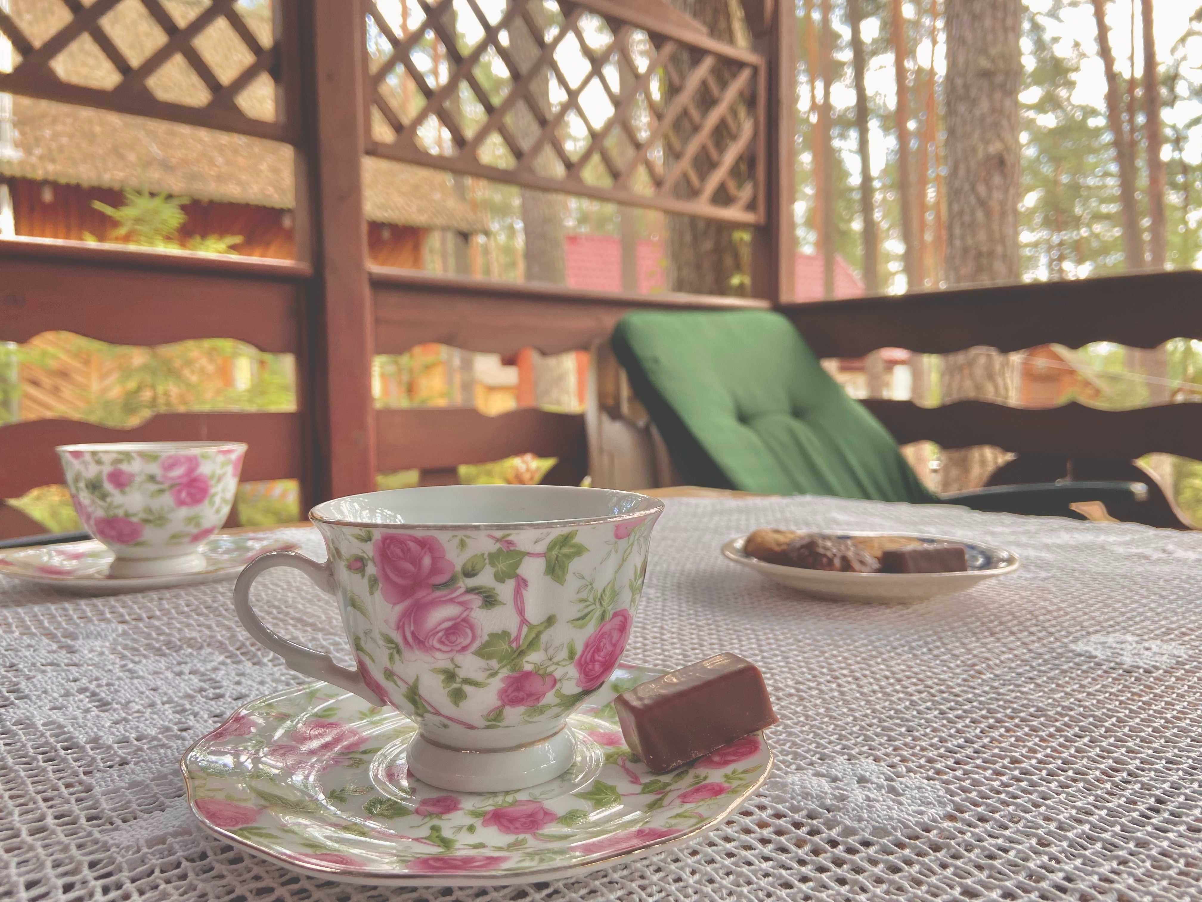 Uroczy domek w sercu lasu nad jeziorem Partęczyny, Warmia - Mazury