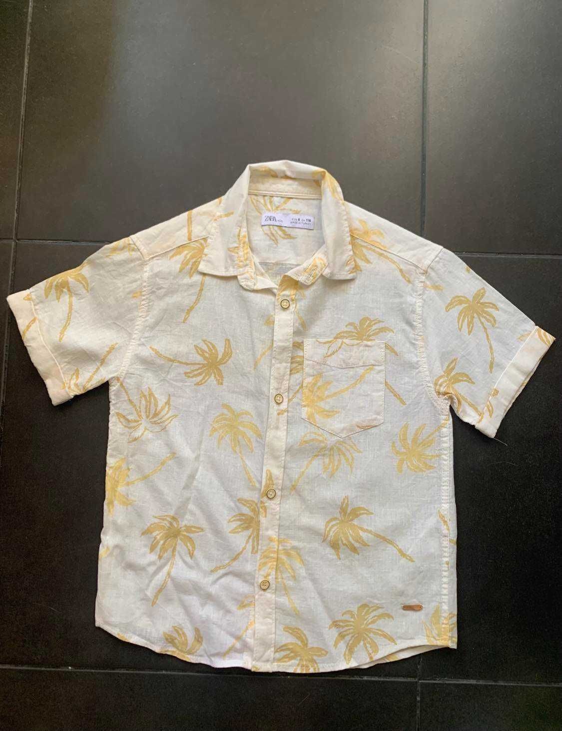 Camisa de menino da ZARA