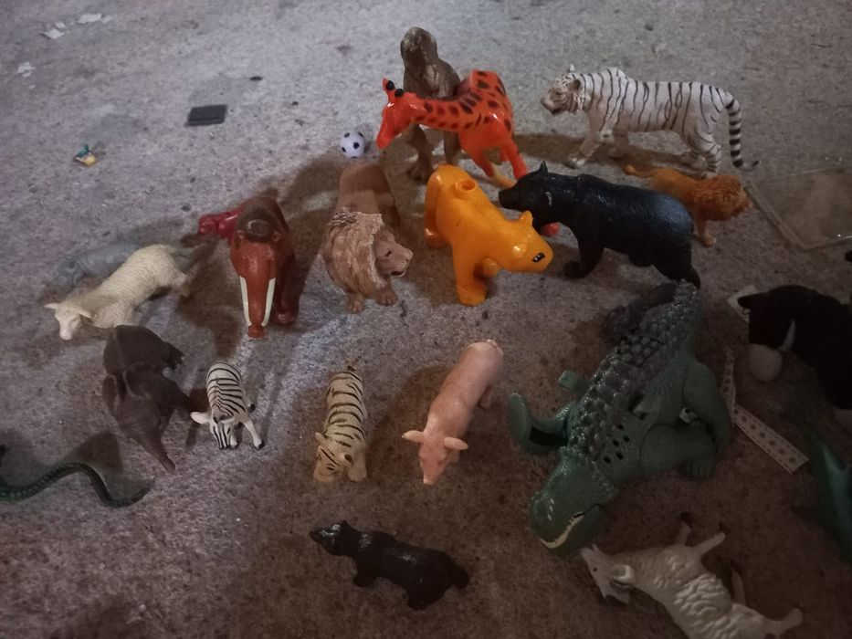 Animais diversos