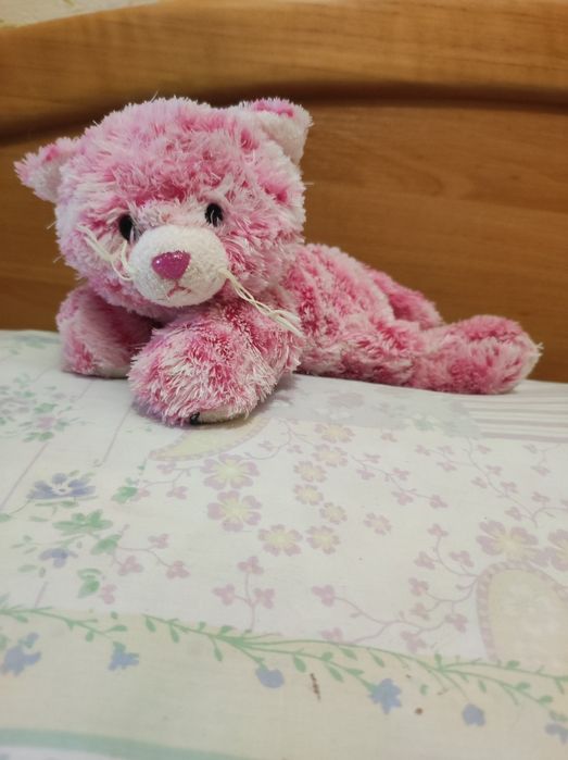 Котик з корівкою