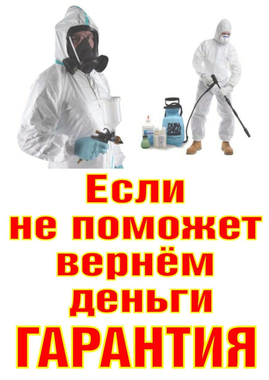 Уничтожение Травля Тараканов Клопов  Знищення Клопів Тарганів Прусаків