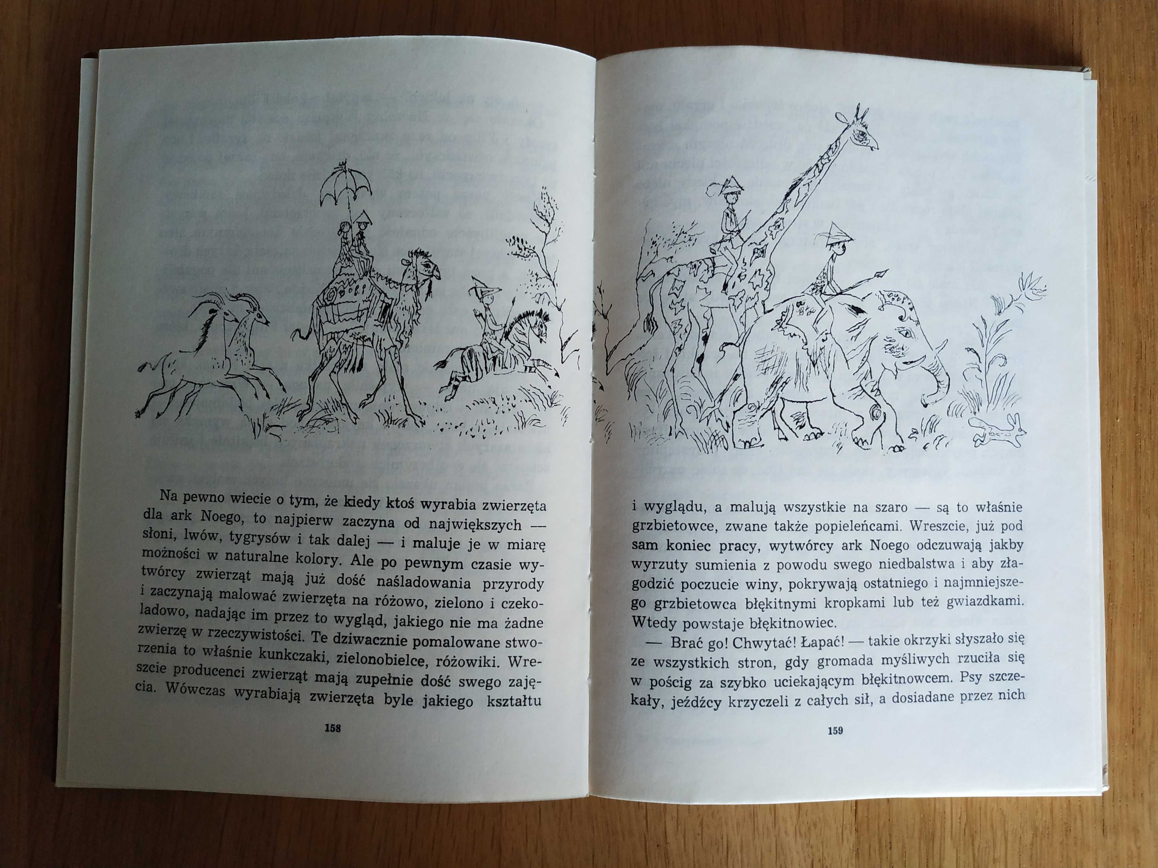 Czarodziejskie miasto - Edith Nesbit