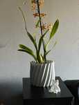 Vaso Exterior para Orquidea
