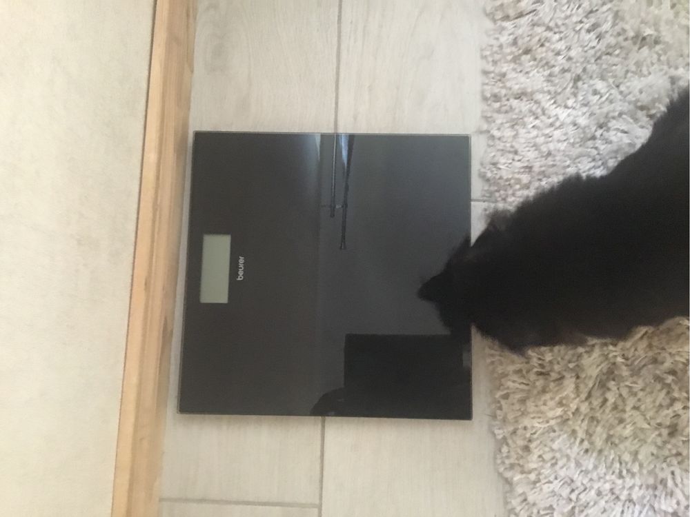 Вага beurer gs 10 black 180kg
