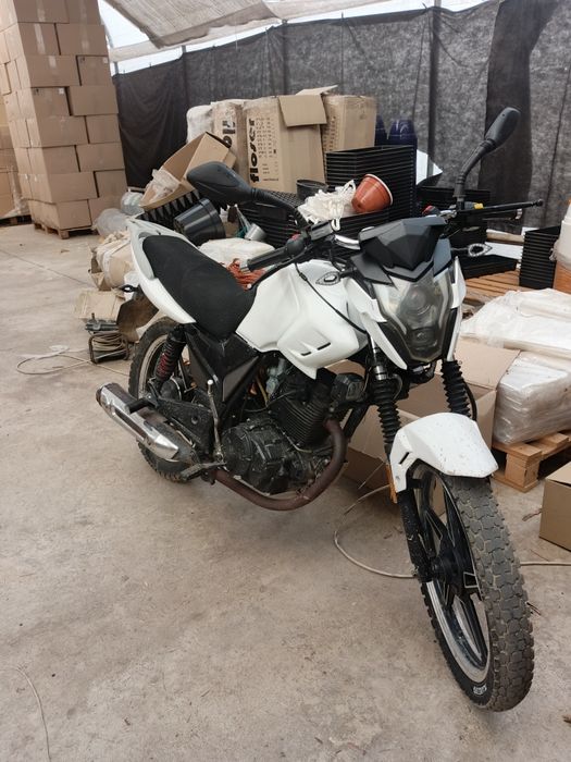 Продам мустанг регион 200, або обмін