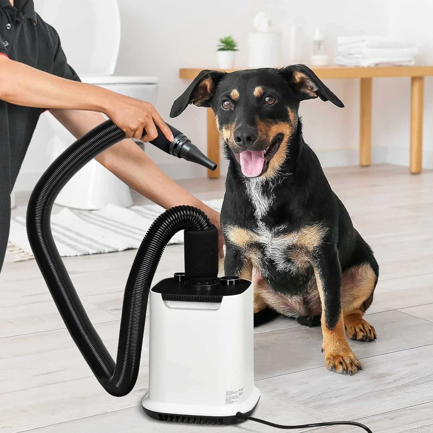 Secador de cabelo para cães 2000 W com ventilador profissional