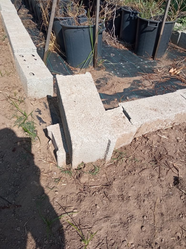 Vendo 65 Tijolos/blocos de cimento de 50cm por 20 cm
