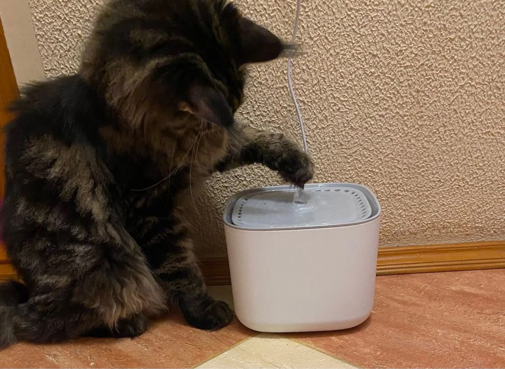 Nova: Fonte/bebedouro d’água automática para cães e gatos | 3L