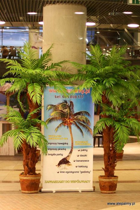 Piękna sztuczna palma wysoka, dużo liści, kokosy drzewko egzotyczne