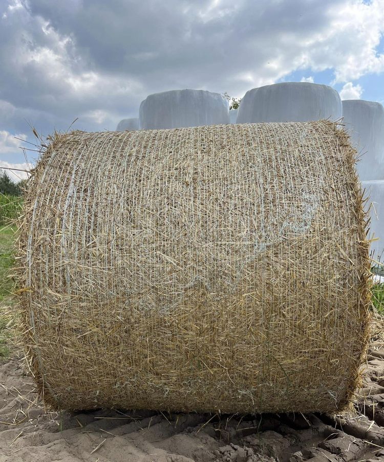 Sprzedam słome ze stodoły 40 bel 80zł szt .