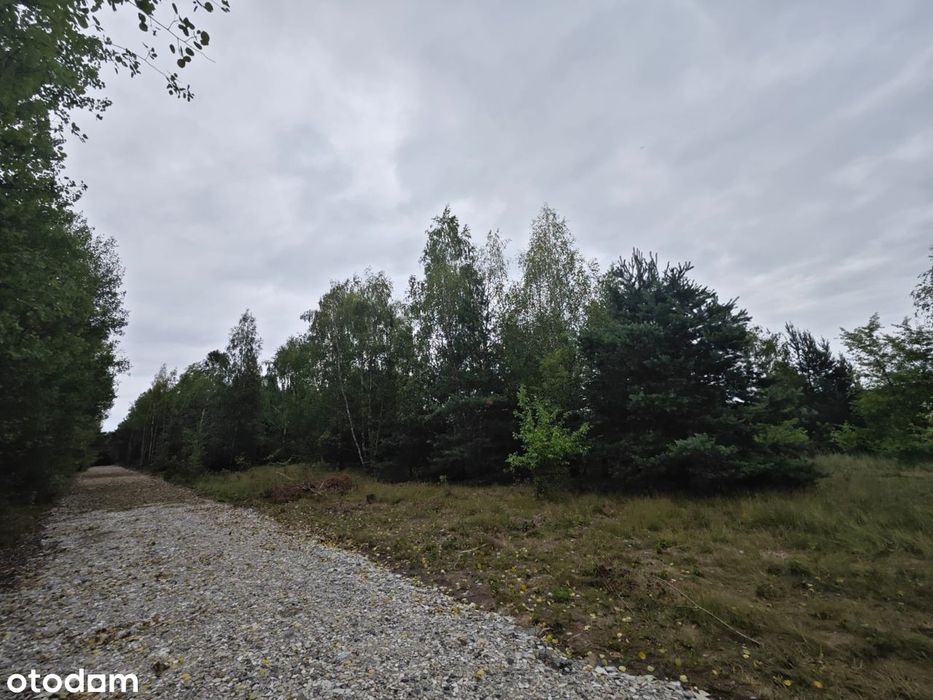 Działki na sprzedaż 1224 m² w urokliwej okolicy