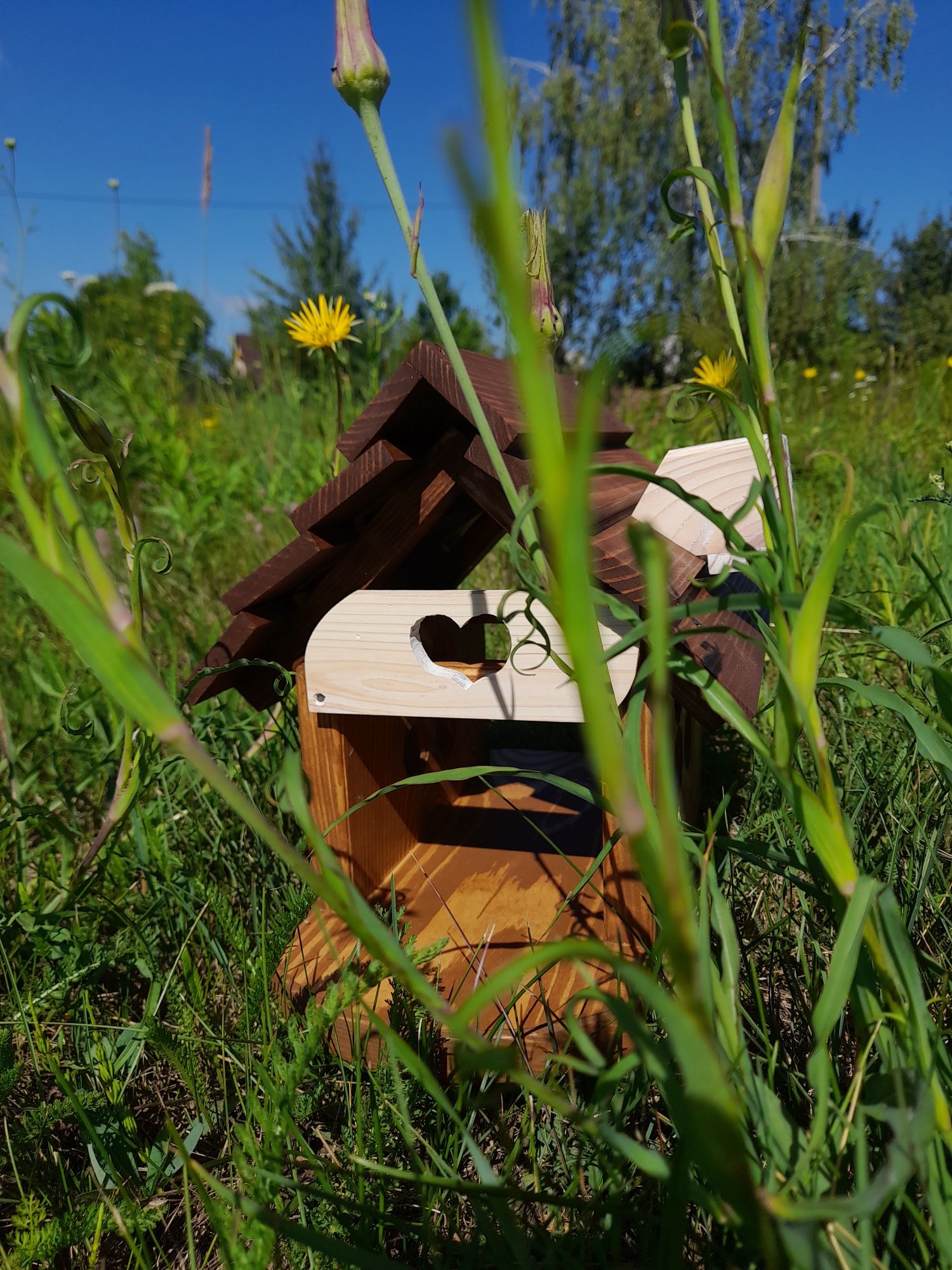 Годівниця Корчма, Комора, Лісовик Кормушка для птахів, білок