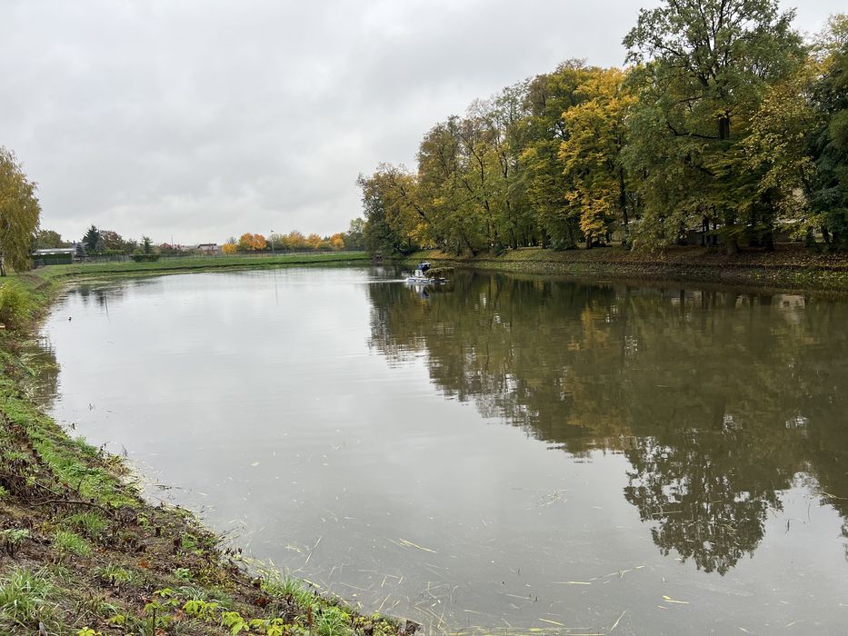 Koszenie trzciny odmulanie wykaszanie oczyszczanie zbiorników wodnych
