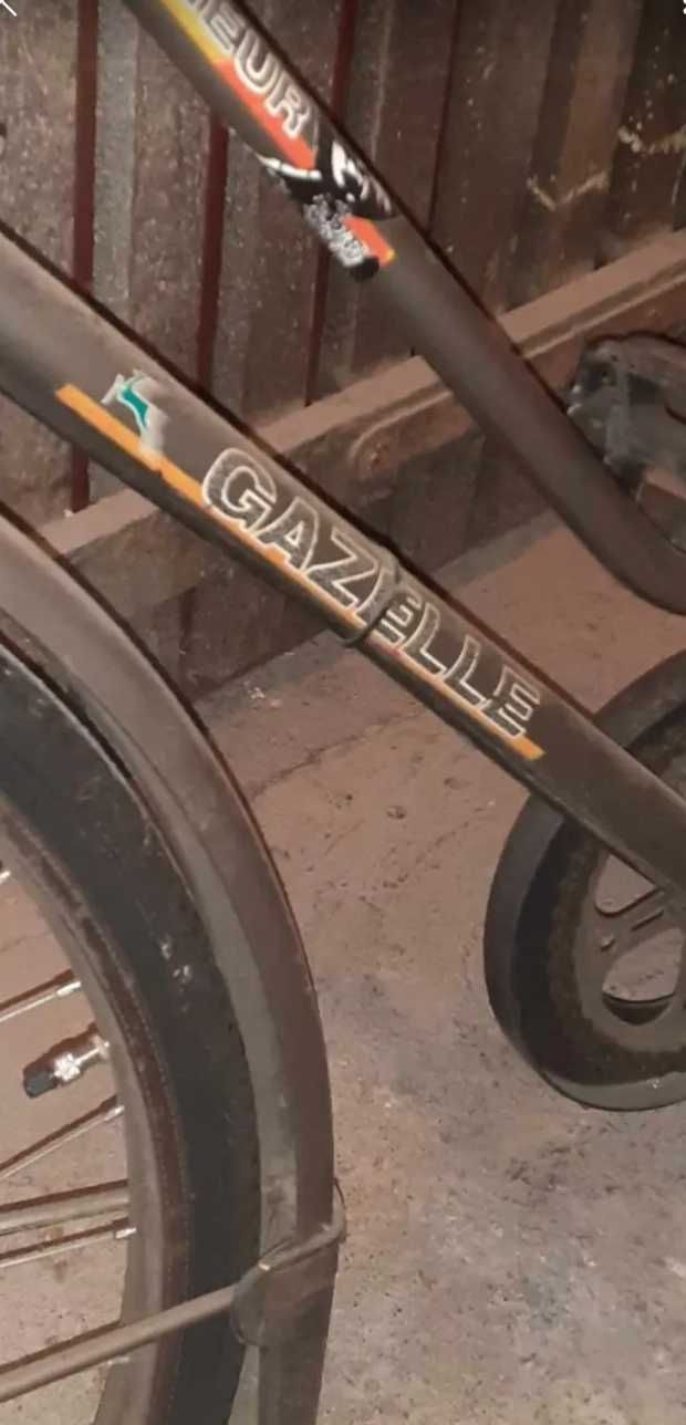 Rower vintage Gazelle