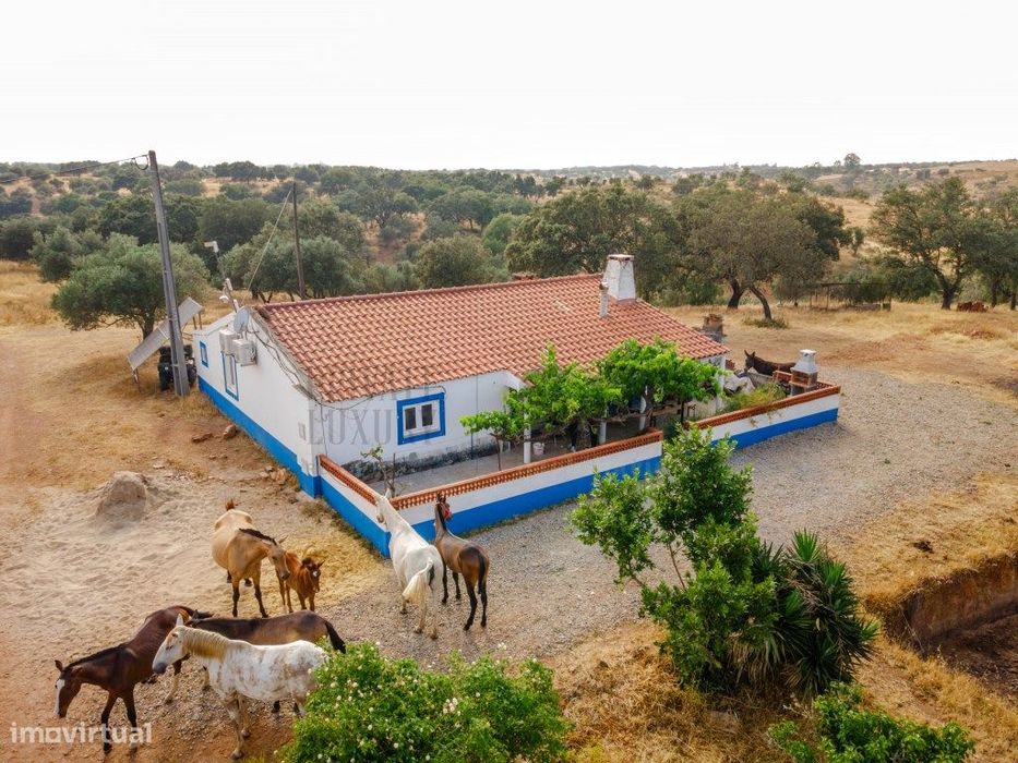 Quinta T3, Vila Verde de Ficalho