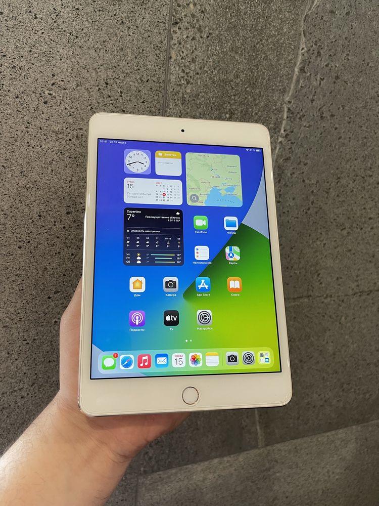 iPad Mini 4 16gb Wi-Fi Gold (2)