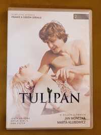 Tulipan- serial DVD