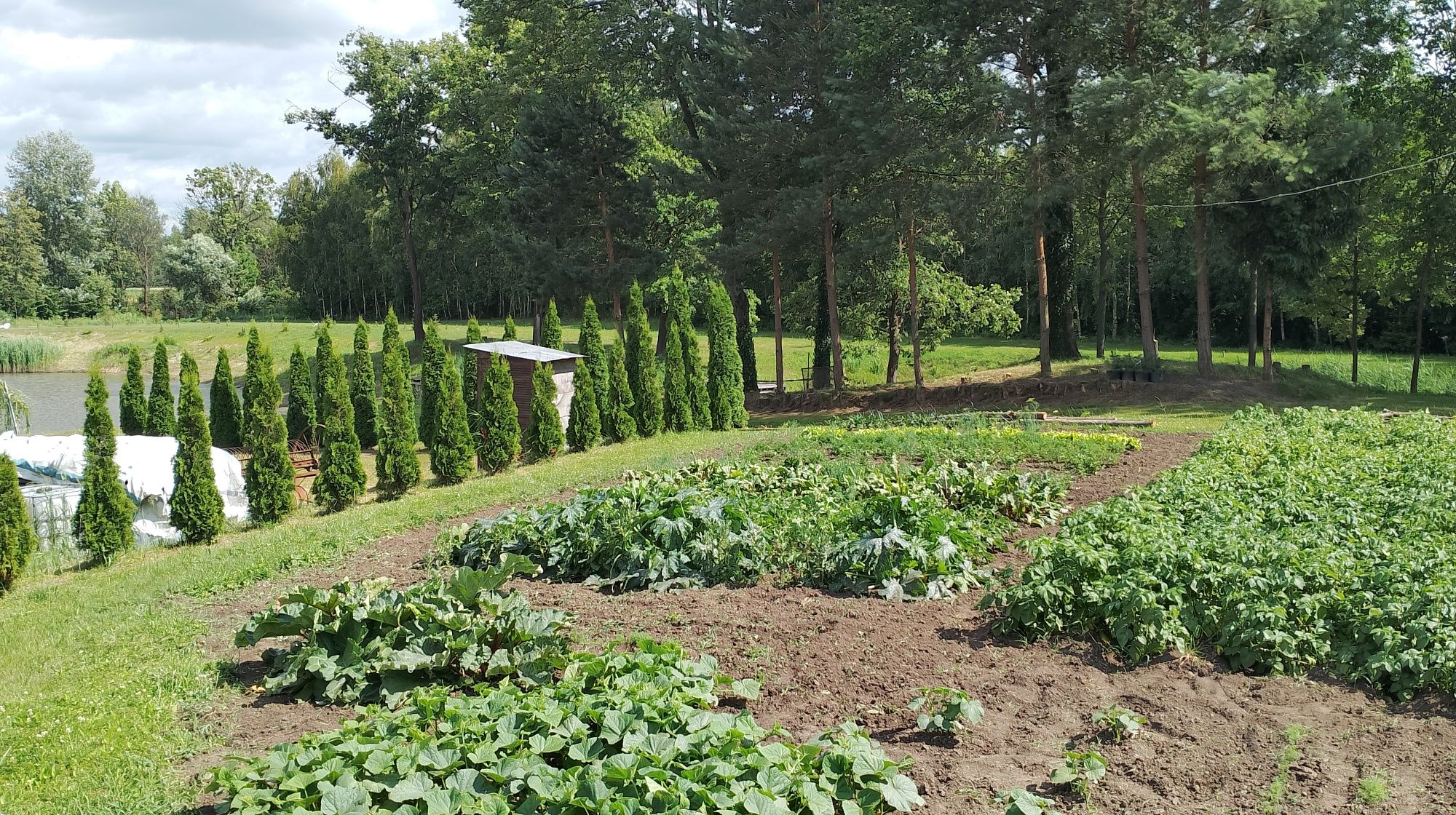 Pokoje gościnne, AGROTURYSTYKA, ośrodek wypoczynkowy