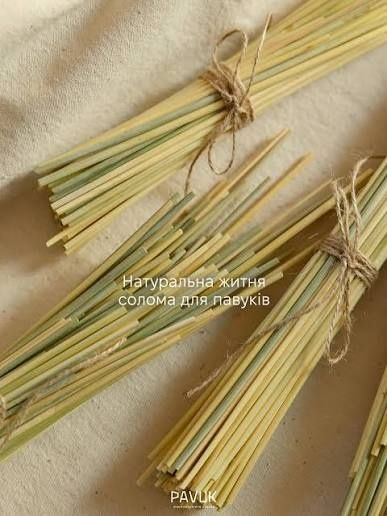 Солома для створення Павука Зірки янгола