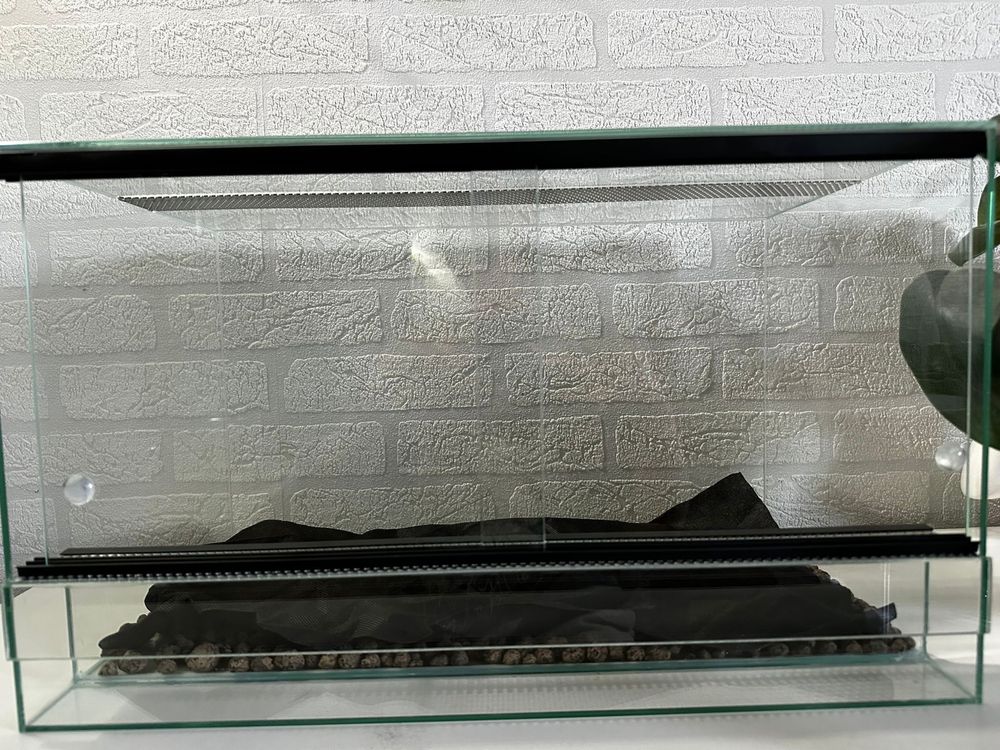 Terrarium szklane 50x30x30 gady gekon żaba wąż