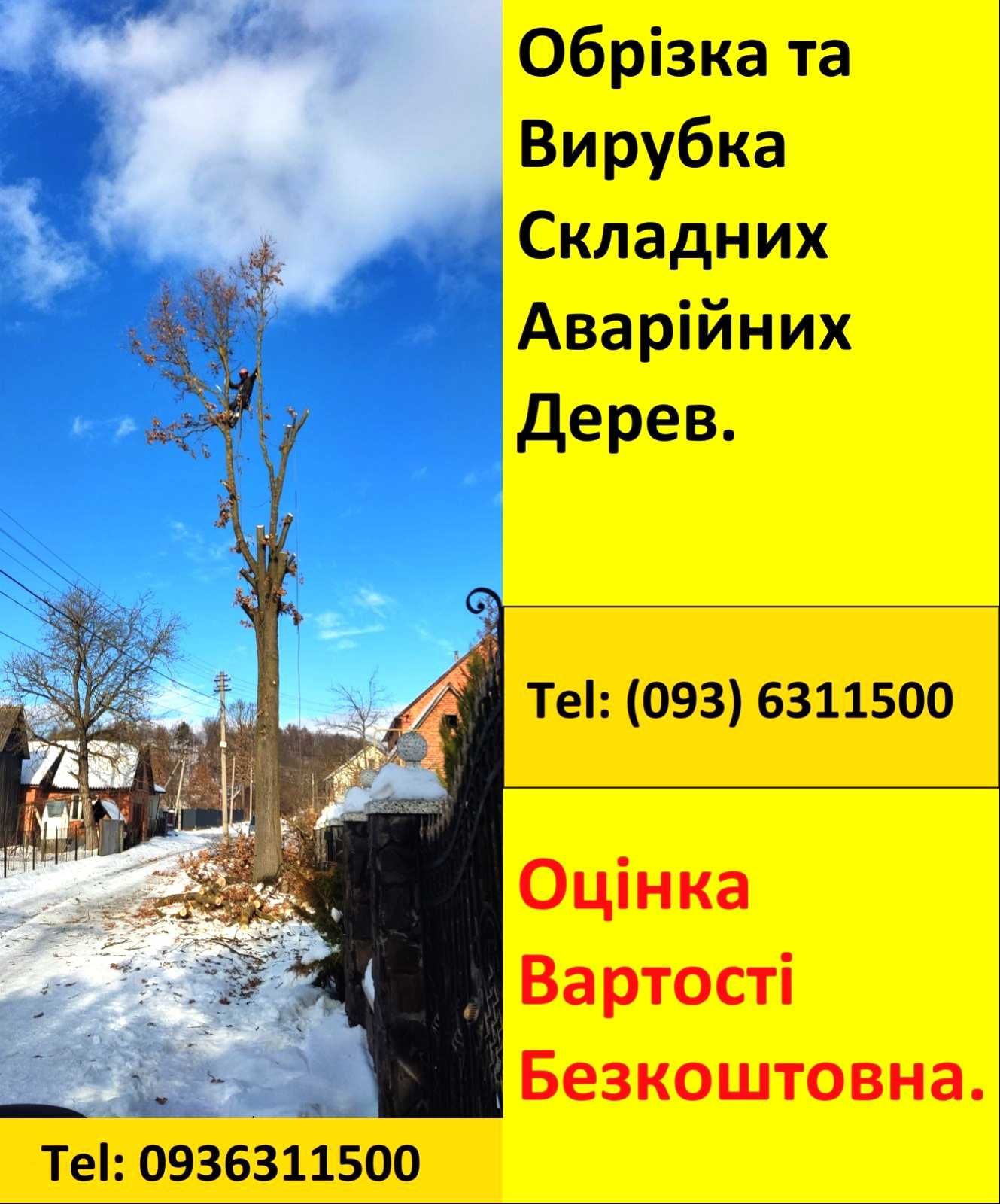 Пропоную послуги з видалення, вирізки, вирубки, валки аварійних  дерев